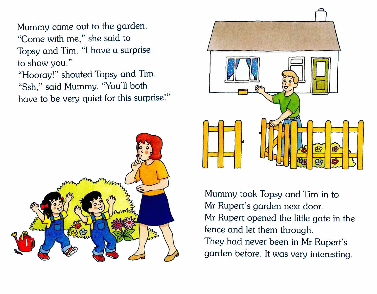 Ladybird - Topsy Tim Books - The Big Surprise (08),绘本,绘本故事,绘本阅读,故事书,童书,图画书,课外阅读
